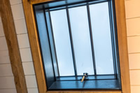 Our standard Conservation Rooflights come with T bars, however if you would prefer them without – get in touch, we can manufacture to your bespoke designs.